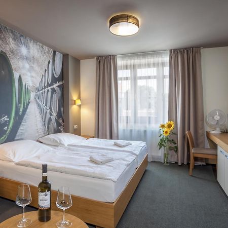 Hotel Lidovy Dum ブゼネツ エクステリア 写真