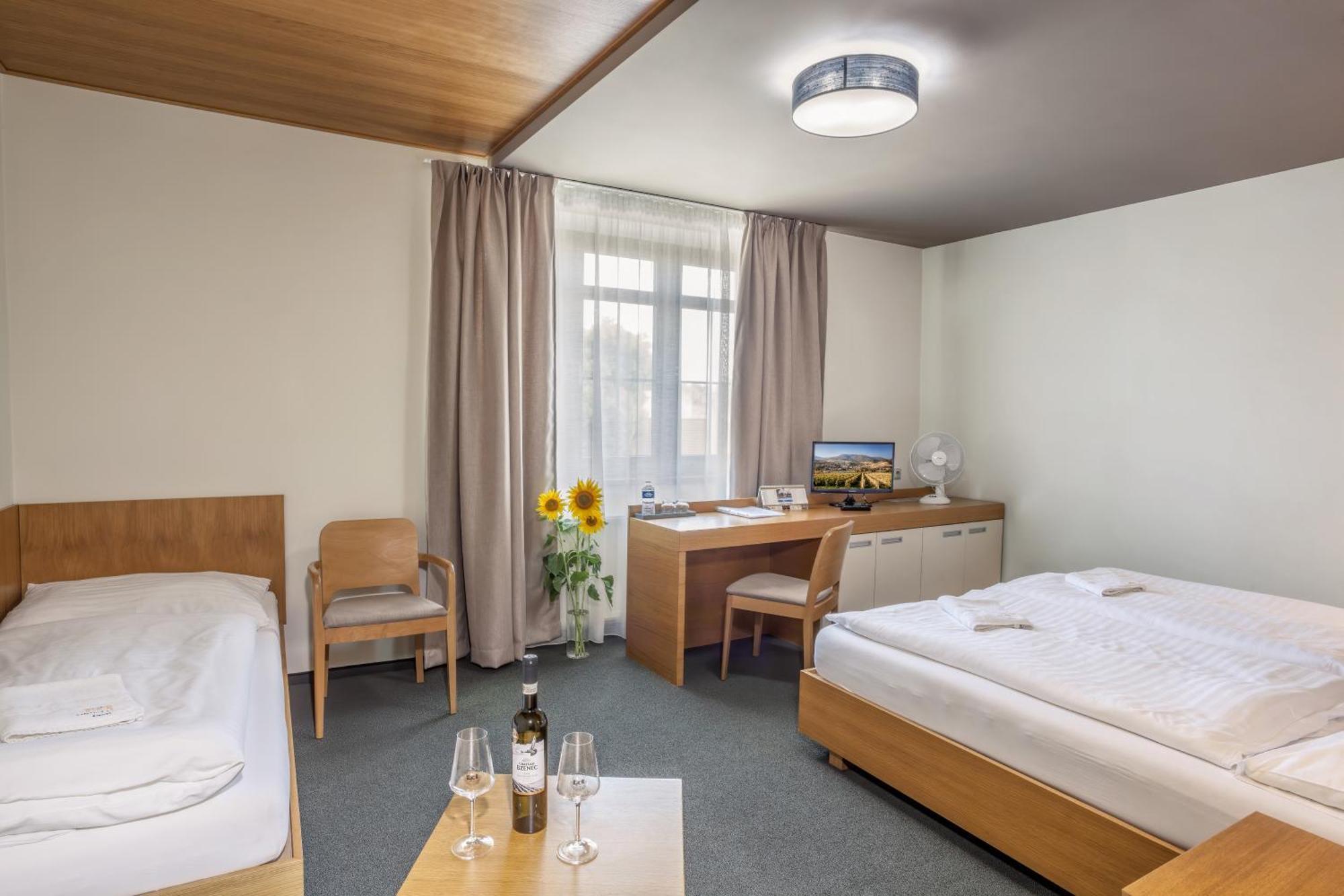 Hotel Lidovy Dum ブゼネツ エクステリア 写真
