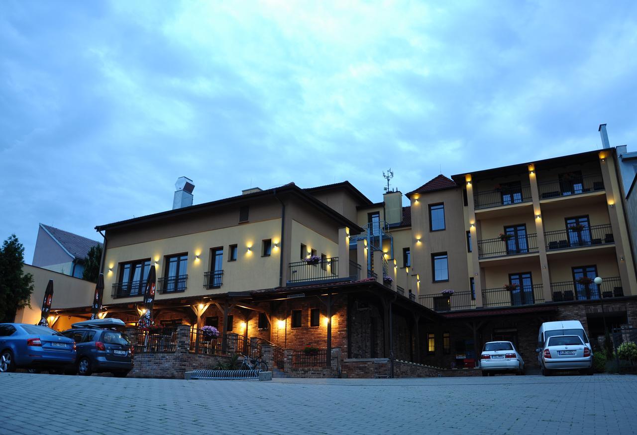 Hotel Lidovy Dum ブゼネツ エクステリア 写真